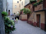Vicolo Volpe 03.jpg

85,73 KB
800 x 600
02/12/2003